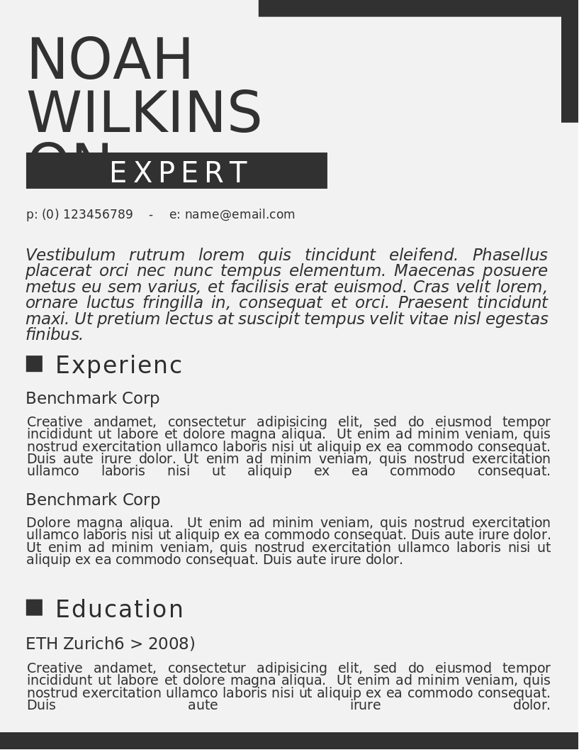 Newspaper CV preview